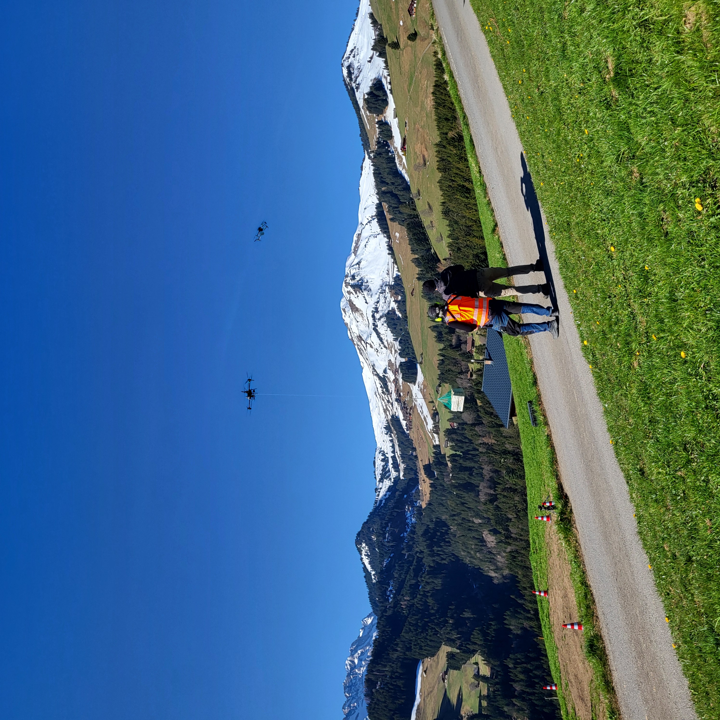 Formation